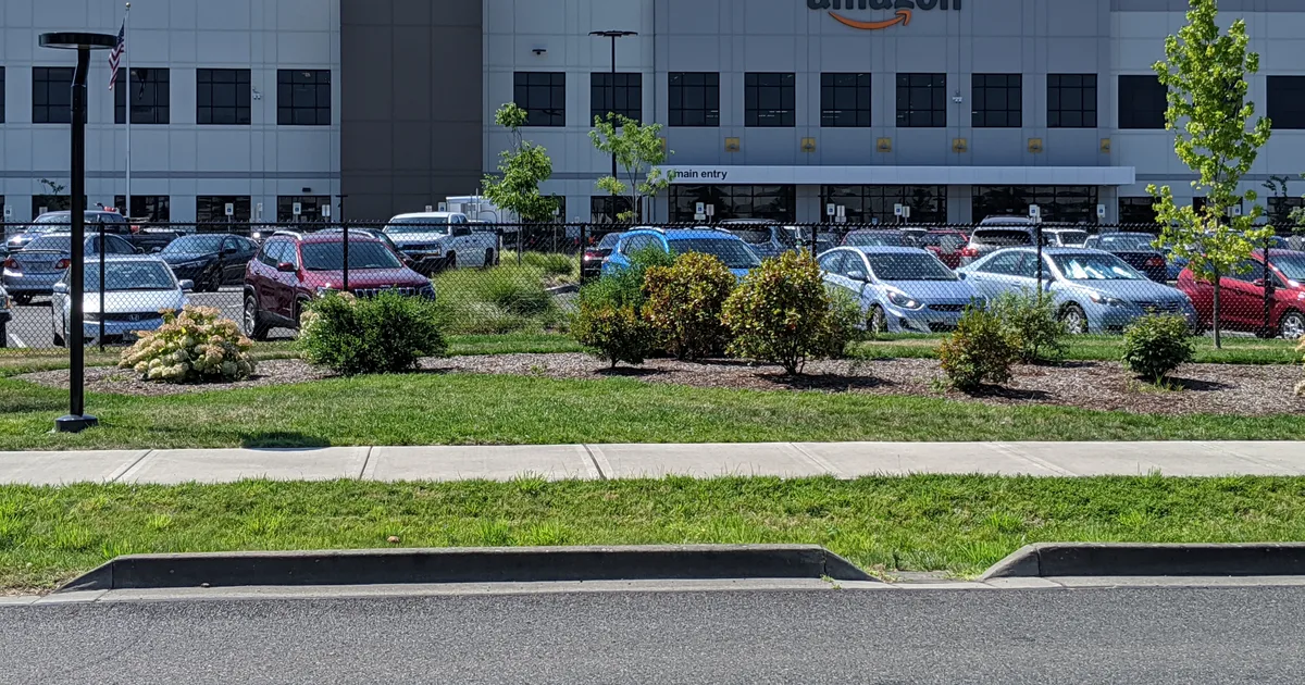 Amazon
